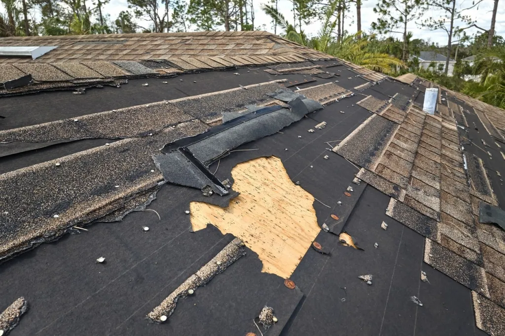 Storm Damage Roof Repair Charleston Lowcountry SC
